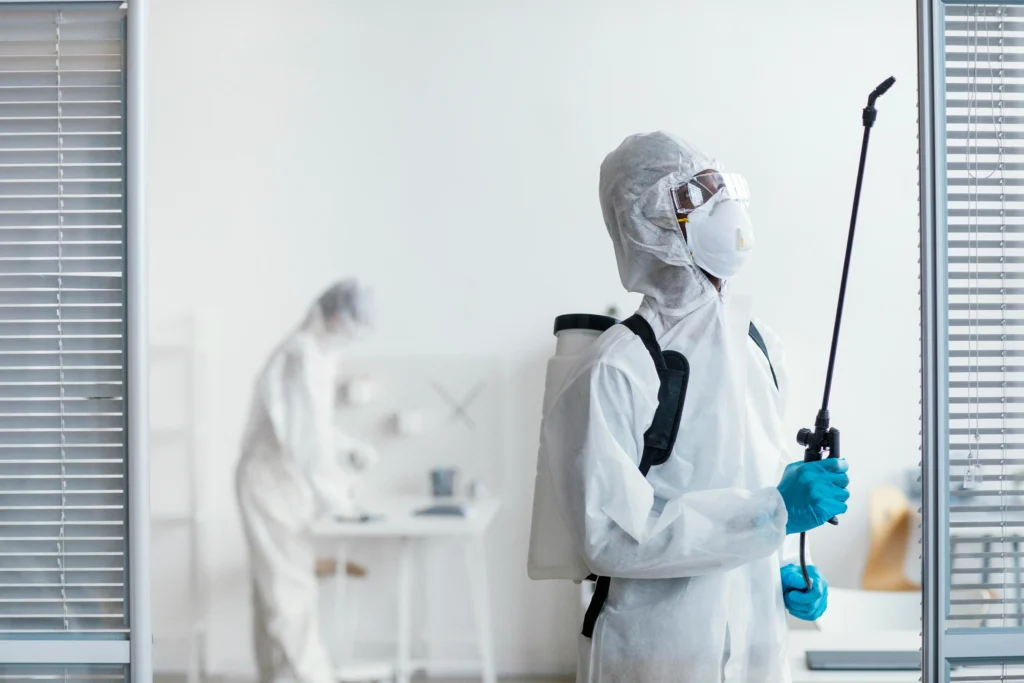 Bed Bug Extermination Sharjah
