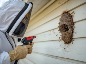Mosquito & Flying Insect Control Sharjah